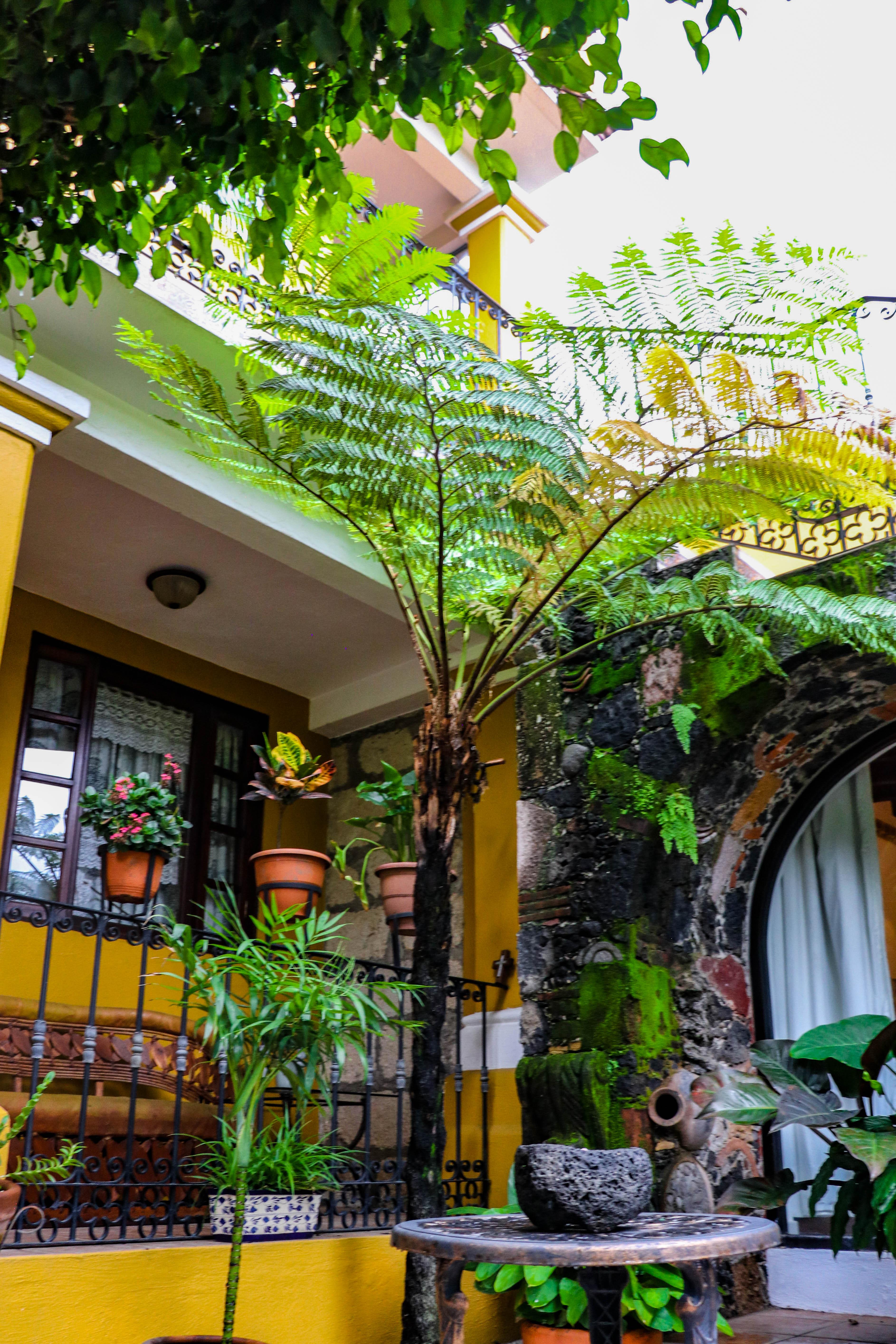 Quinta La Herradura Tepoztlán Exterior foto